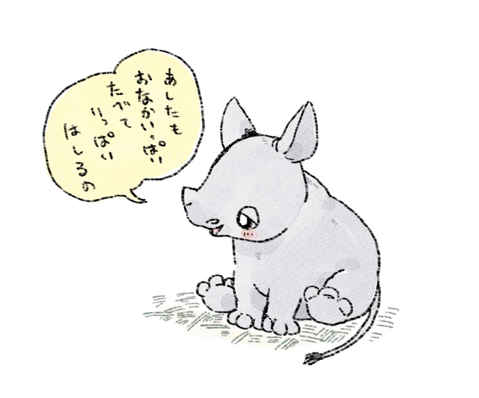 シロサイの赤ちゃんの明日の予定 