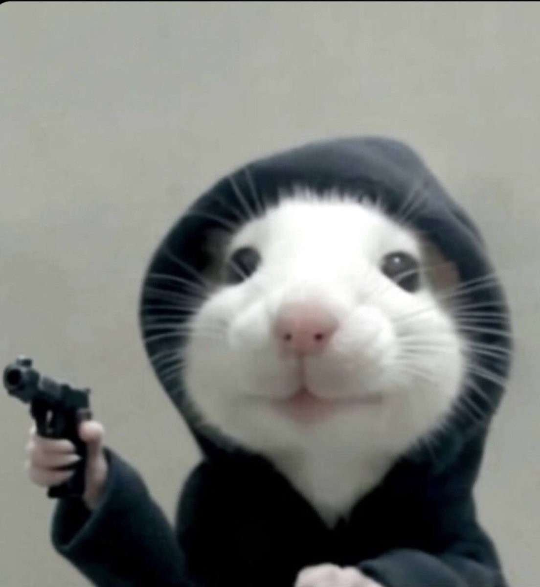 <a href="/Palgrani2/">Palgrani</a> $hoodrat alive and well @hoodratonsol