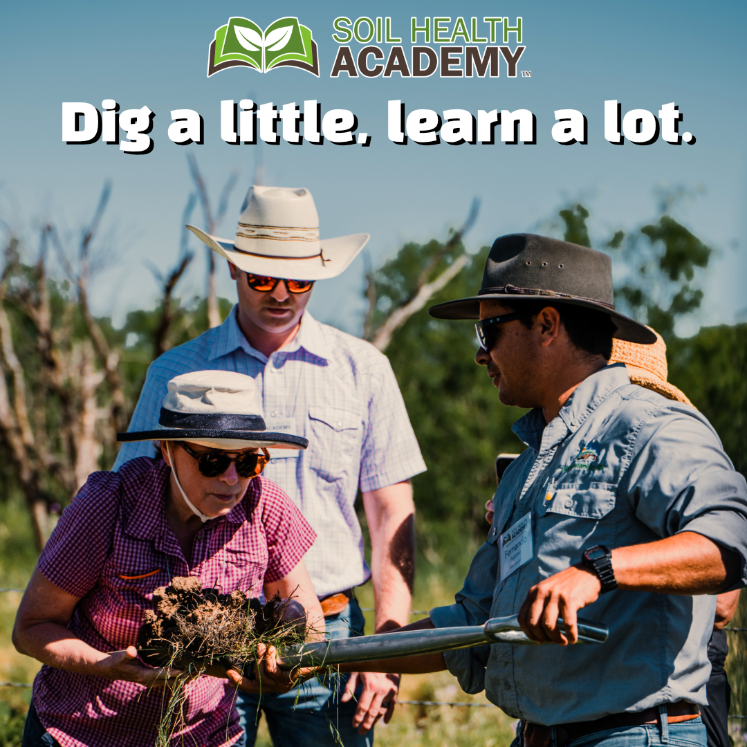 When it comes to understanding the health of our living and life-giving soil, it's amazing what a shovel full can tell us.

Learn more by visiting soilhealthacademy.org