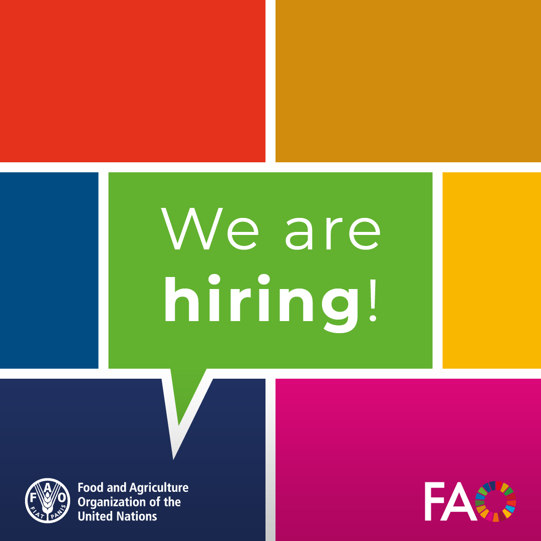 ➡️We are looking to hire a REDD+ and MRV Expert(s)!📋

📅Apply by  27 May 2025!

➡️ow.ly/2eVl50VUJ3m