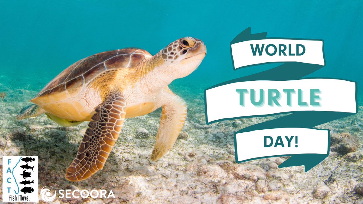 FACT_Network tweet media