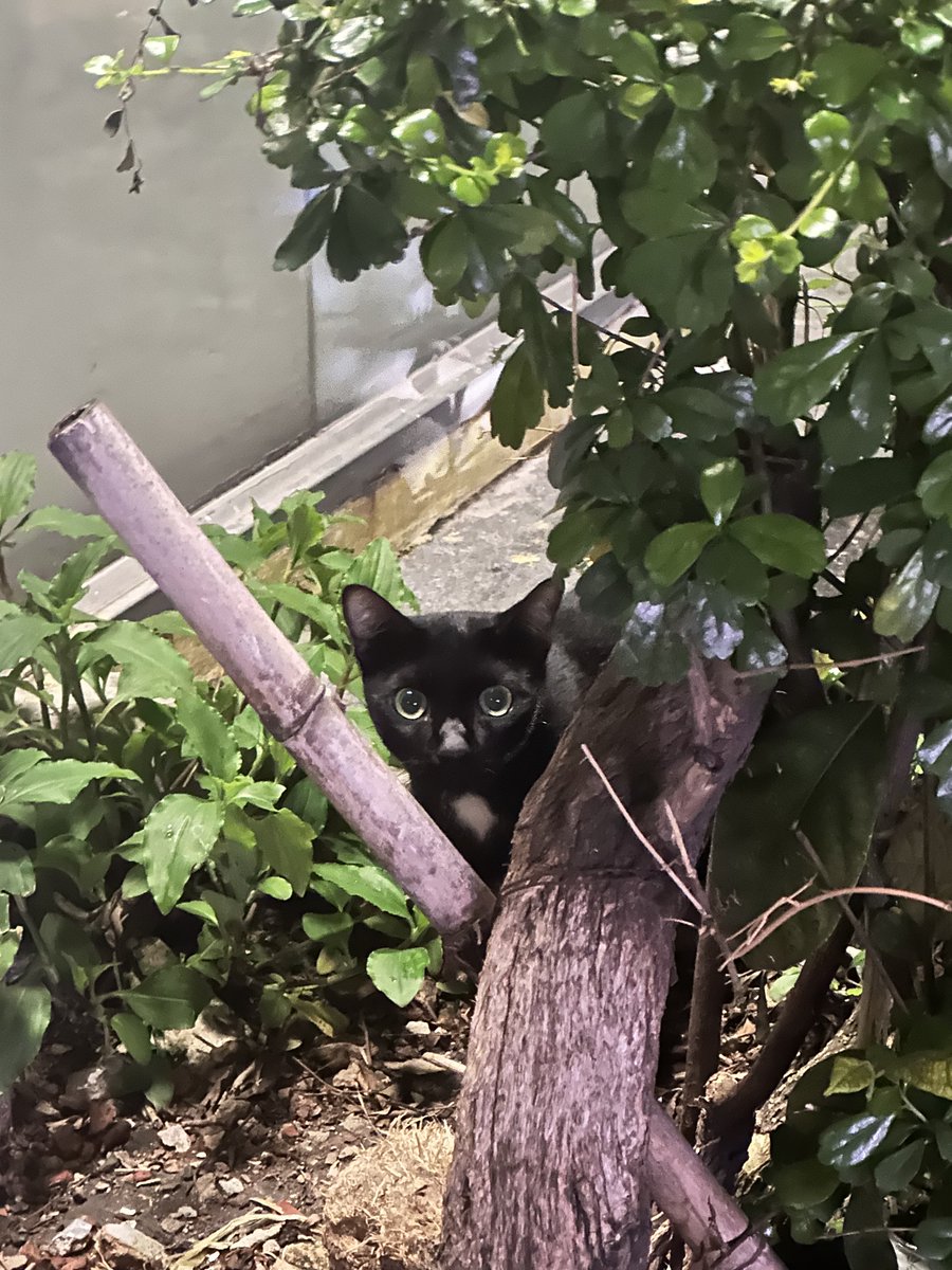 ซื้อจัยด้วยอะไรก้มั่ยให้จับ!! ขอสัมผัสซักทีมะได้เรยอ่อ