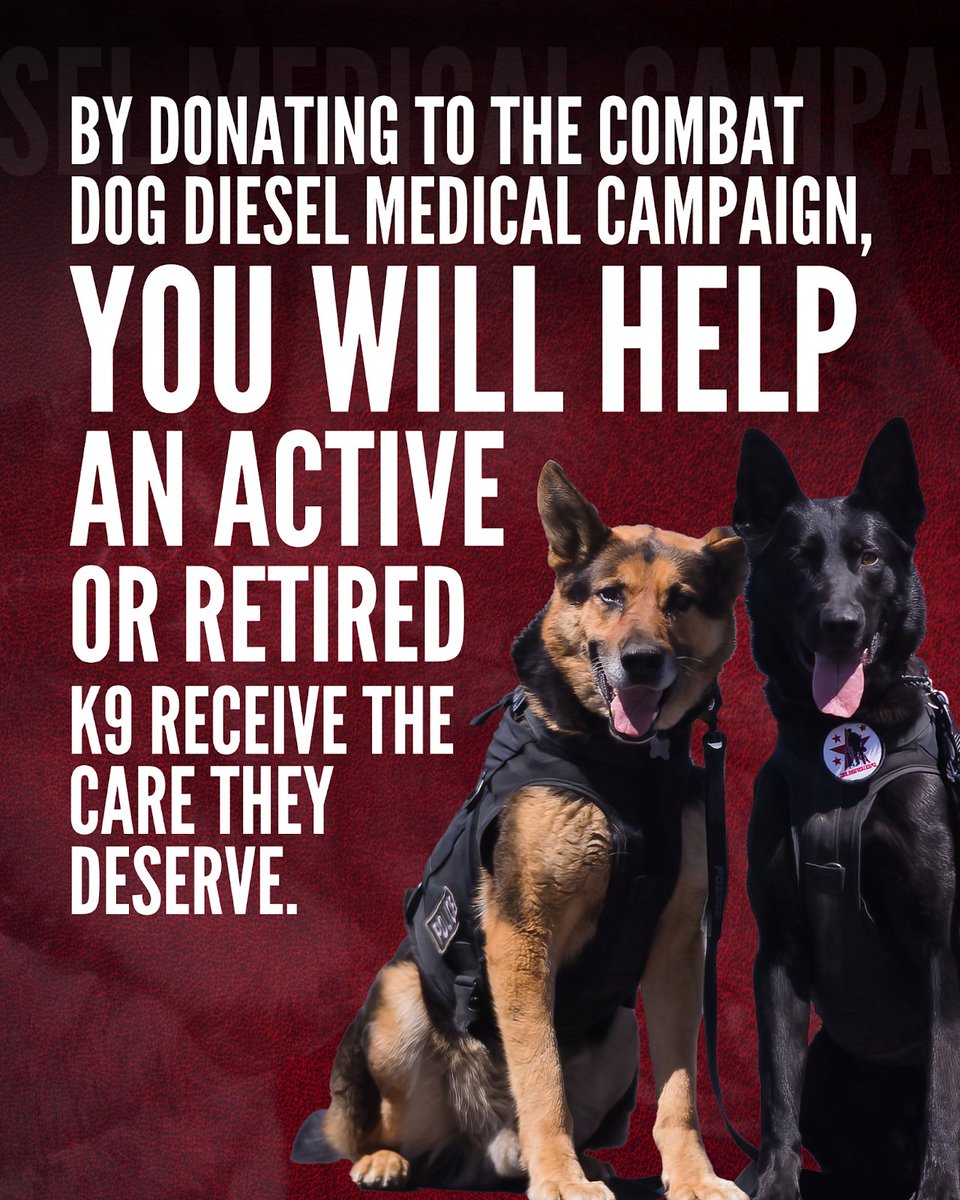When a working dog gets sick or injured, the care they need often exceeds what their handlers or departments can afford, especially with limited funding in police and military units.

That’s why we created the Combat Dog Diesel #MedicalCampaign: to ensure every working dog gets