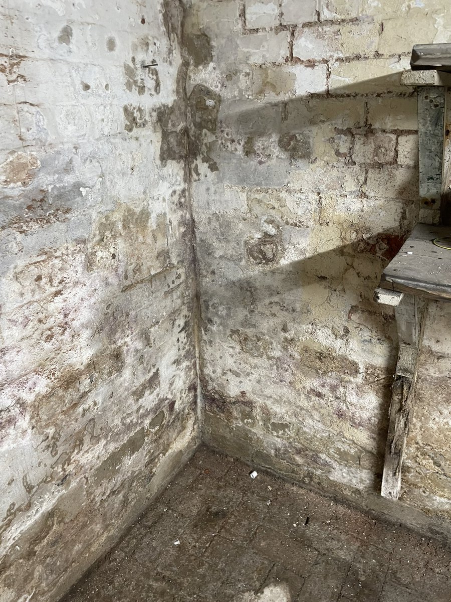 W J O’Connell & Son tweet media