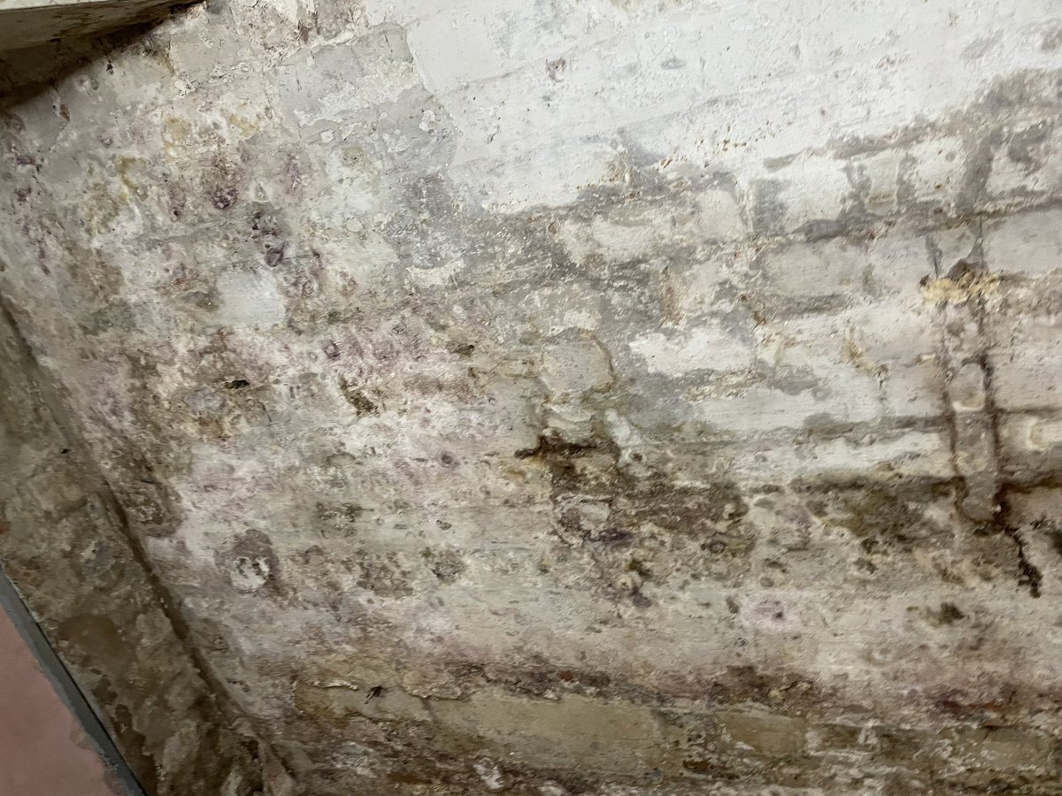 W J O’Connell & Son tweet media