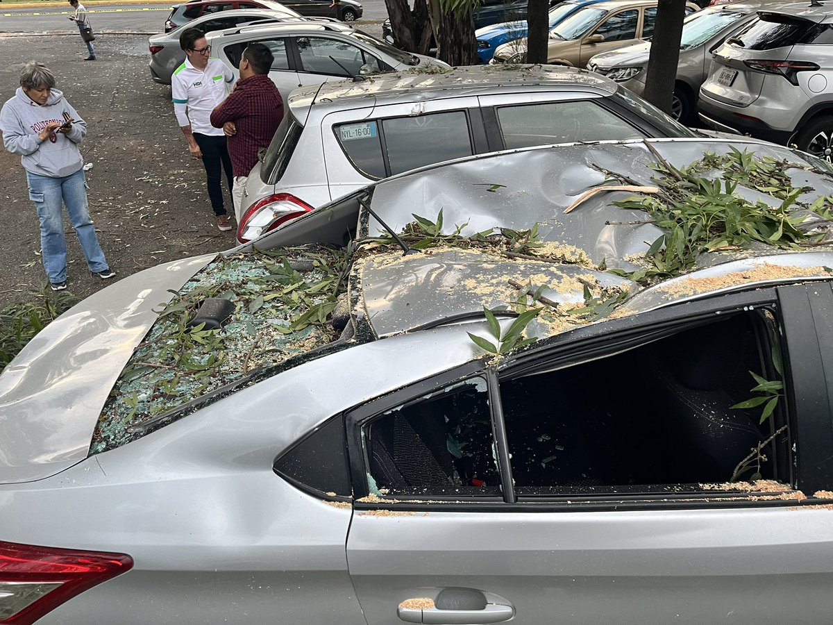 Beatrizcuevas's tweet photo. Ayer viernes cayó sobre este vehículo gigantesca y pesada rama de un árbol en el estacionamiento del @ESIMEZ_OFICIAL, el seguro del @IPN_MX @ArturoReyesS_ @Claudiashein @mario_delgado @Carloszup @nmas no cubre desastres naturales, que peligro para los  estudiantes  y académicos https://t.co/uvdYJnMiPs
