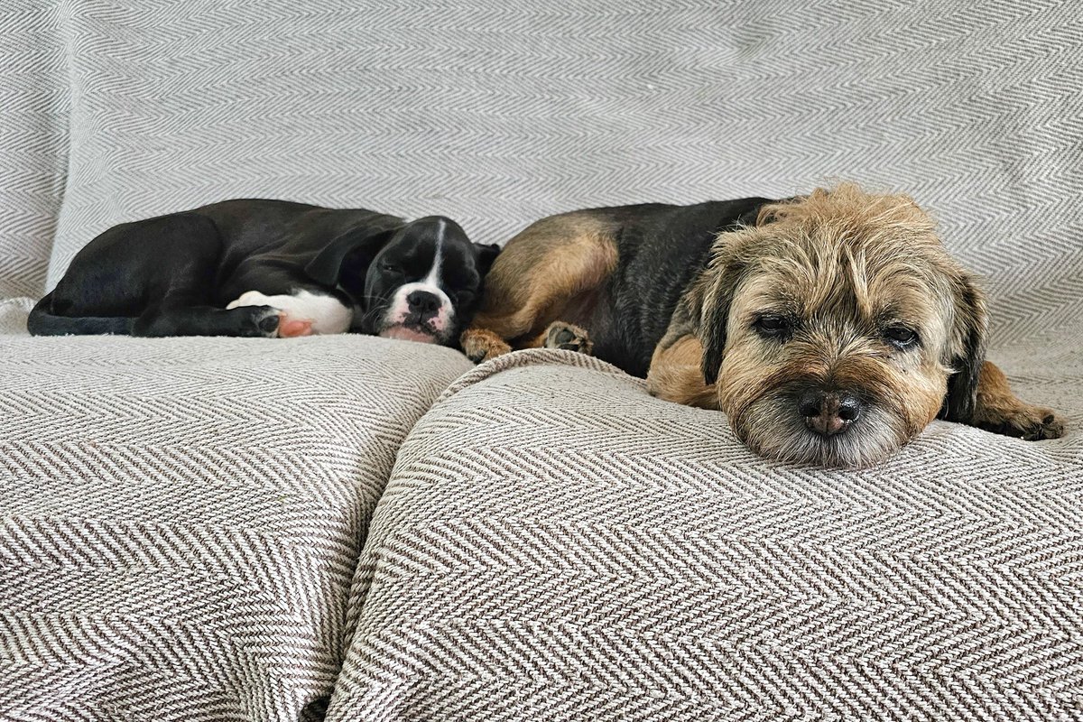 Pals...I quite like my new sisfur Skye !! Dis us after 2 hours of meeting !!!!! #BTPosse