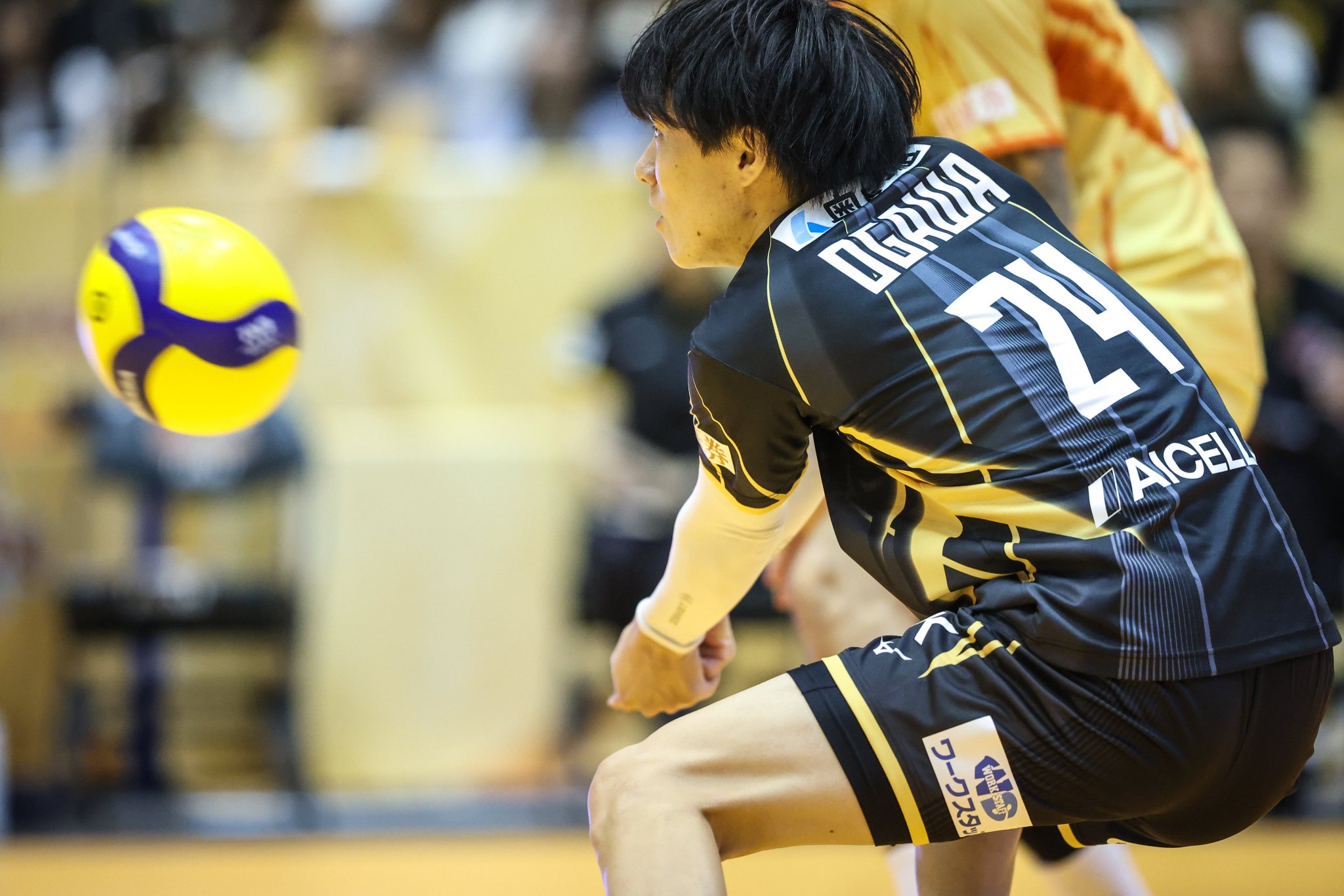 ジェイテクトSTINGS愛知 小川智大選手 ネームタオル英語 JTEKT-STINGS-AICHI on X: