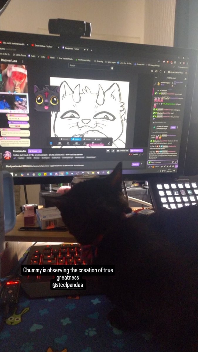 Doing an emote commission of the cute Chummy while she watches me stream 😂🥹