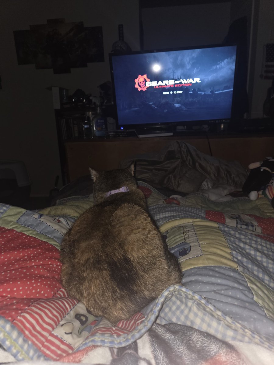 Caught a nasty cold🤧havent left the bed to much but I got my cat and gears of war and my water and medicine so I'm set for the dat I hope I feel better to go to twin  peaks tomorrow with my brother and friend.