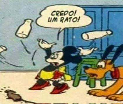meme burros (ou nada inteligente) tweet media