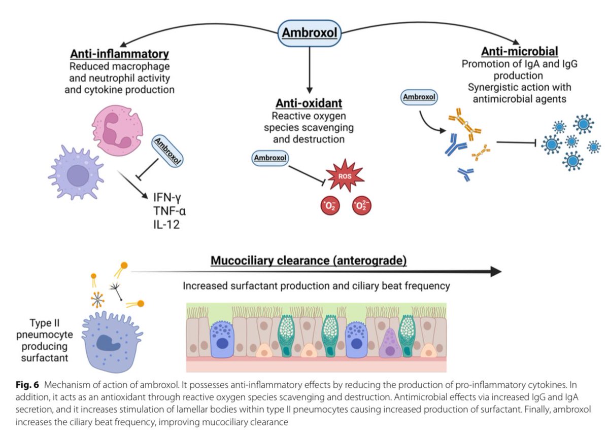 ‼️💧𝗠𝘂𝗰𝗼𝗹𝗶́𝘁𝗶𝗰𝗼𝘀 𝗲𝗻 𝗰𝗿𝗶́𝘁𝗶𝗰𝗼𝘀: 𝗳𝗶𝘀𝗶𝗼𝗹𝗼𝗴𝗶́𝗮, 𝗮𝗹𝘁𝗲𝗿𝗮𝗰𝗶𝗼𝗻𝗲𝘀, 𝘁𝗲𝗿𝗮𝗽𝗶𝗮𝘀 𝗮𝗰𝘁𝘂𝗮𝗹𝗲𝘀💊💉
<a href="/BioMedCentral/">BMC</a>
👇🏼👇🏼👇🏼👇🏼👇🏼
📑🔗🔑🔓
t.me/ClubCrit
⬇️⬇️⬇️

➡️¿Se puede tratar el moco espeso en pacientes en ventilación mecánica?