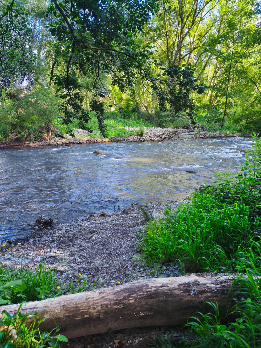 EB1LOnacho's tweet photo. #RioIregua #RioEbro
#LaRioja🍇🇪🇦👣🚶♀️
A las orillas del afluente de un gran Rio.💓🌿 https://t.co/b3ADYTjLIN