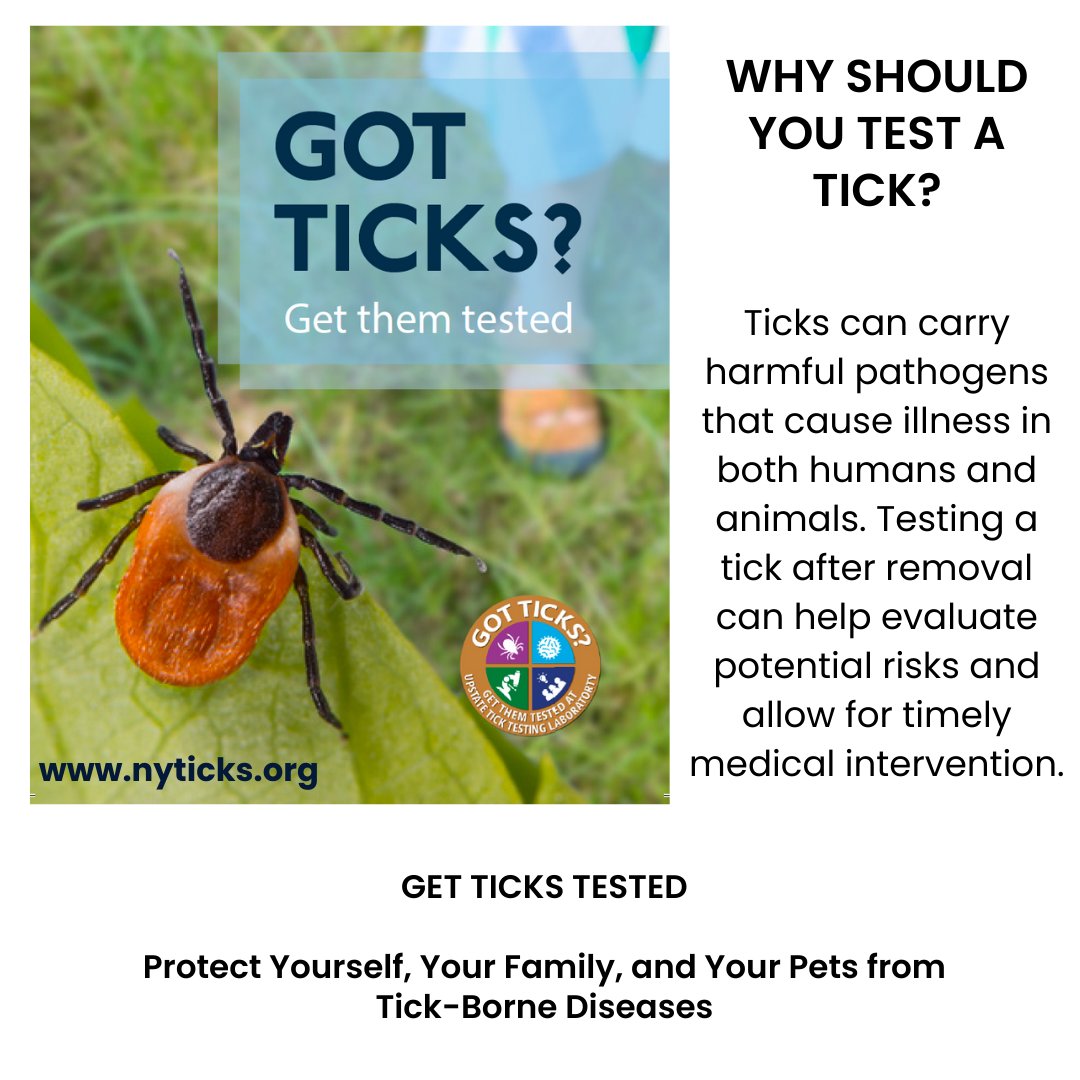 Upstate Tick Testing Laboratory (@ny_ticks) on Twitter photo WHY SHOULD YOU TEST A TICK?
#Ticks can carry harmful pathogens that cause illness in both humans and animals. Testing a tick after removal can help evaluate potential risks and allow for timely medical intervention.
Got Ticks? Get Them Tested
#TickTesting
<a href="/Thangamani_Lab/">Thangamani Lab, SUNY Upstate ☣️🧬🦟🐁🦠</a> WHY SHOULD YOU TEST A TICK?
#Ticks can carry harmful pathogens that cause illness in both humans and animals. Testing a tick after removal can help evaluate potential risks and allow for timely medical intervention.
Got Ticks? Get Them Tested
#TickTesting
<a href="/Thangamani_Lab/">Thangamani Lab, SUNY Upstate ☣️🧬🦟🐁🦠</a>