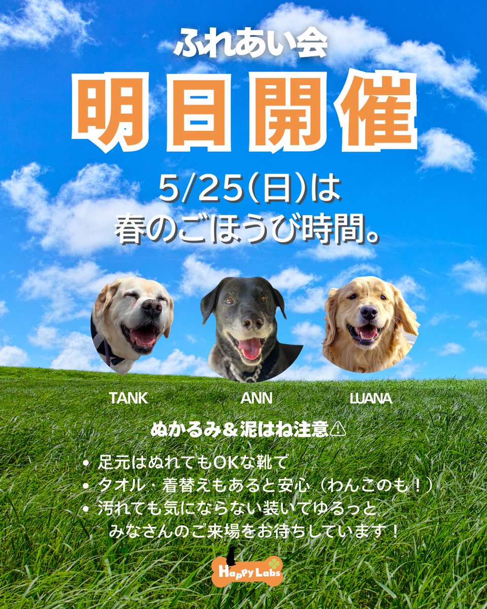 🐾 ＼ふれあい会、明日開催！／

お天気は回復傾向☀️
でも、今晩の雨で足元はぬかるみ注意です。

会場の「わんダフルネイチャービレッジ」には
雨でも安心な屋根付きドッグラン＆ドッグプールも完備！

天気が心配でも、思いっきり遊べる環境がそろってます🐾