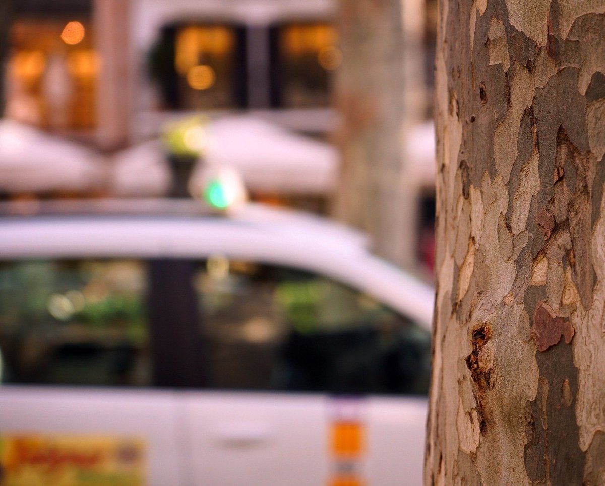 🚖 El Govern publica el decret del taxi que permetrà establir una tarifa única per fomentar els acords de prestació conjunta entre municipis

🔹Mesures per incentivar millores del servei i augmentar l'oferta als usuaris amb un ús més sostenible del taxi

➡️tn.caib.es/DecretTaxi