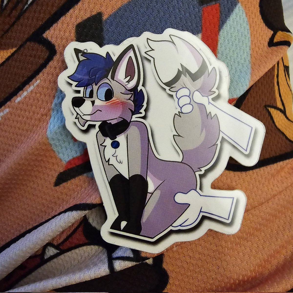 Echo Shep 🌈 tweet media