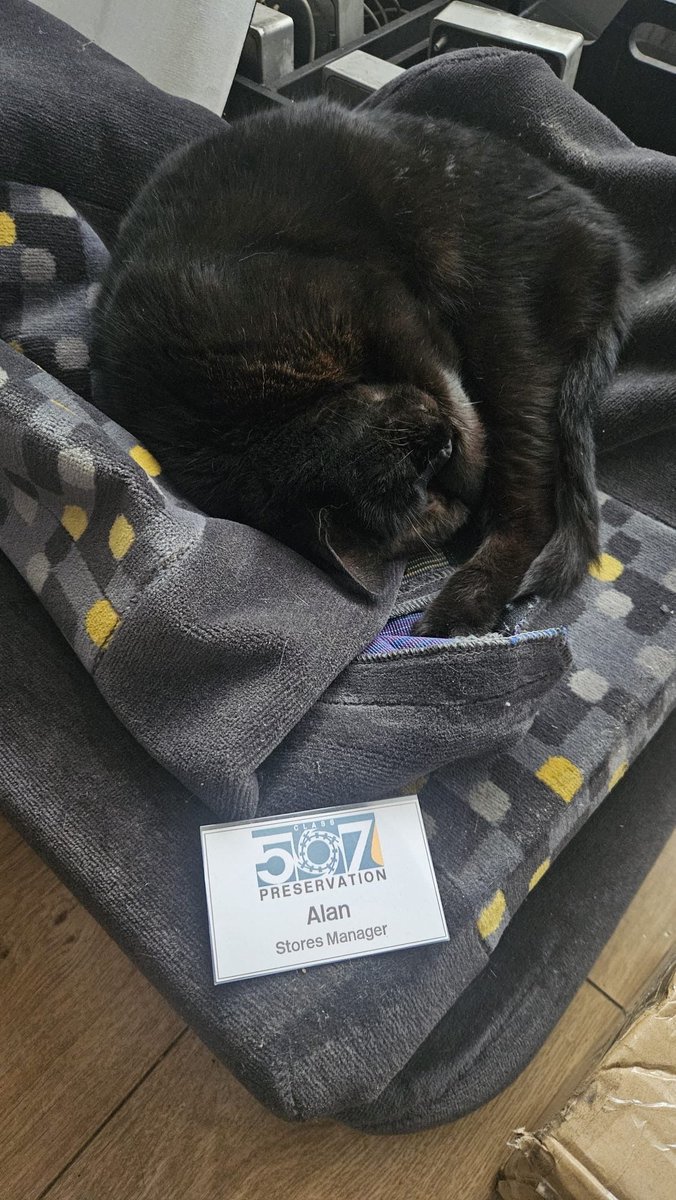 class_507's tweet photo. Our website will be temporarily unavailable over the weekend while we do some upgrade work behind the scenes.
We now cross live to 507 HQ where our webmaster is hard at work⦠#Caturday https://t.co/XkWUI7qenA
