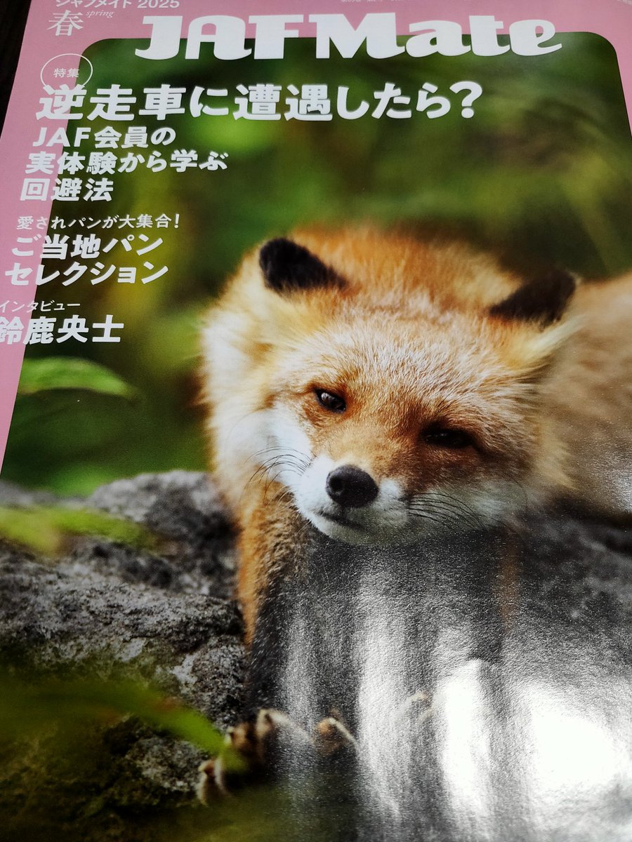 samaore0721's tweet photo. ＪＡＦメイト春号

逆走者に遭遇したら？ということで遭わない、起こさない走り方がまとめてありました。

高速道路や一般道路でも気をつけたいと気が引き締まりました。 https://t.co/my6DVIiT90