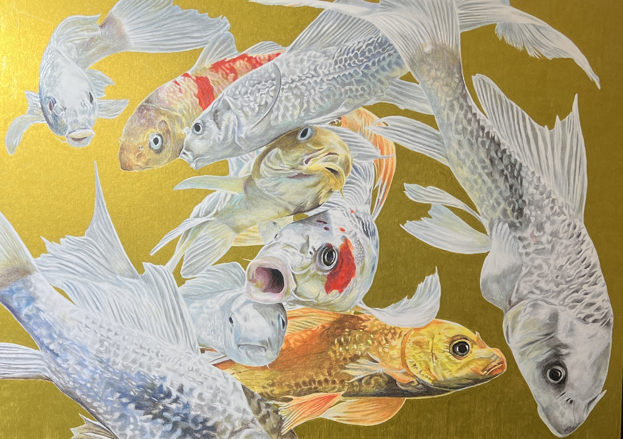 磯野キャビア ボールペン画集ZOO 61CWu4aMXiL._UF350,350_QL50_.jpg