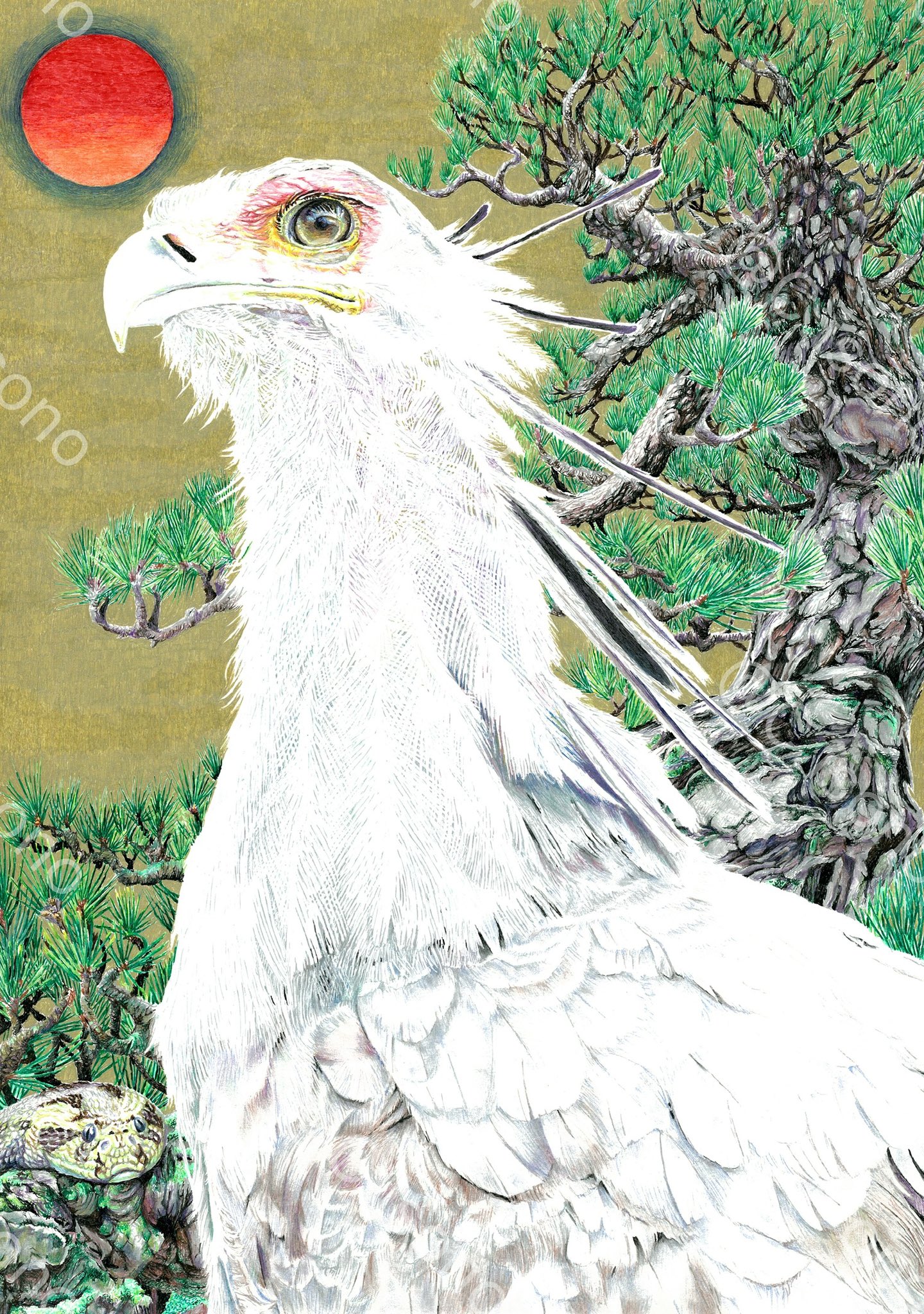 磯野キャビア ボールペン画集ZOO 磯野キャビア ボールペン画集ZOO 磯野キャビアボールペン画集ZOO