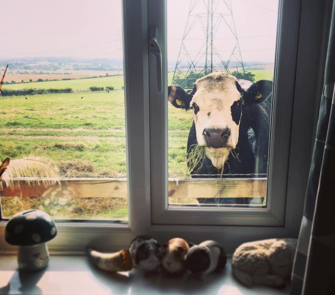 “Good morning.”

📸 Lucy Hughes