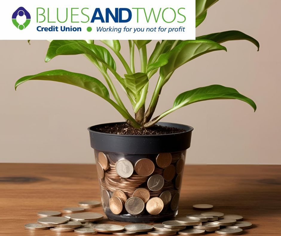 Did you know? Saving regularly can help you build a strong financial foundation. 
Start saving today and watch your money grow with Blues and Twos💰🌱
buff.ly/37nzvQw
#SavingsTips #FinancialEducation #BluesAndTwos #loans #creditunion