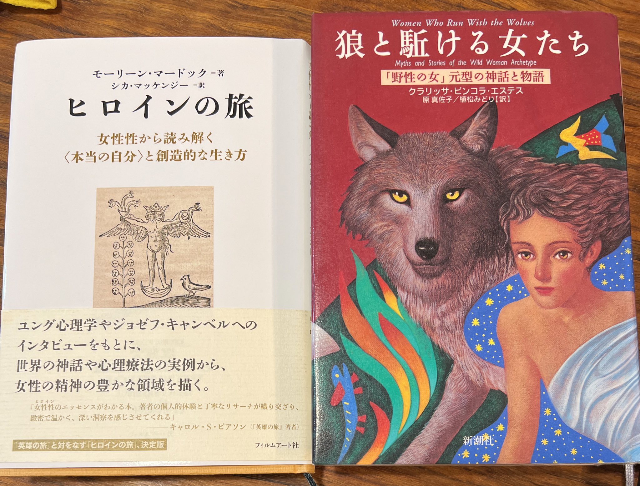 狼と駈ける女たち「野生の女」元型の神話と物語』