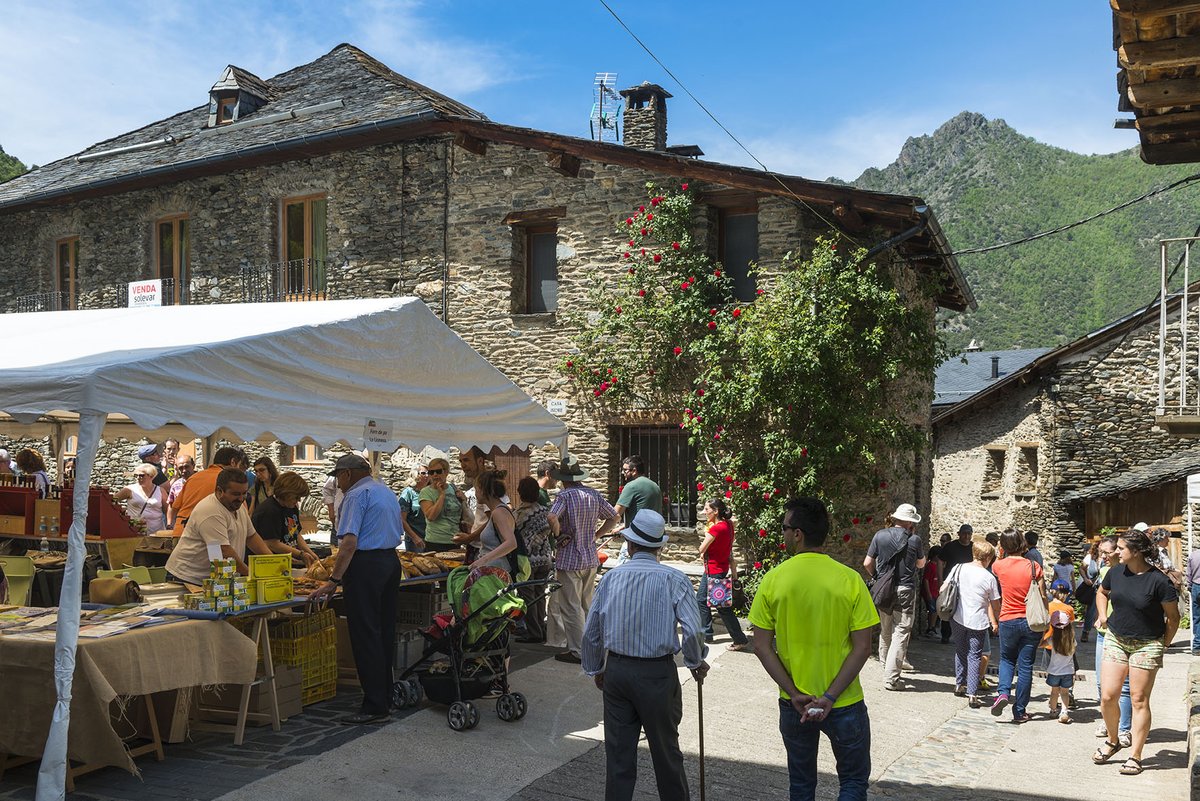 Parc Natural de l'Alt Pirineu tweet media