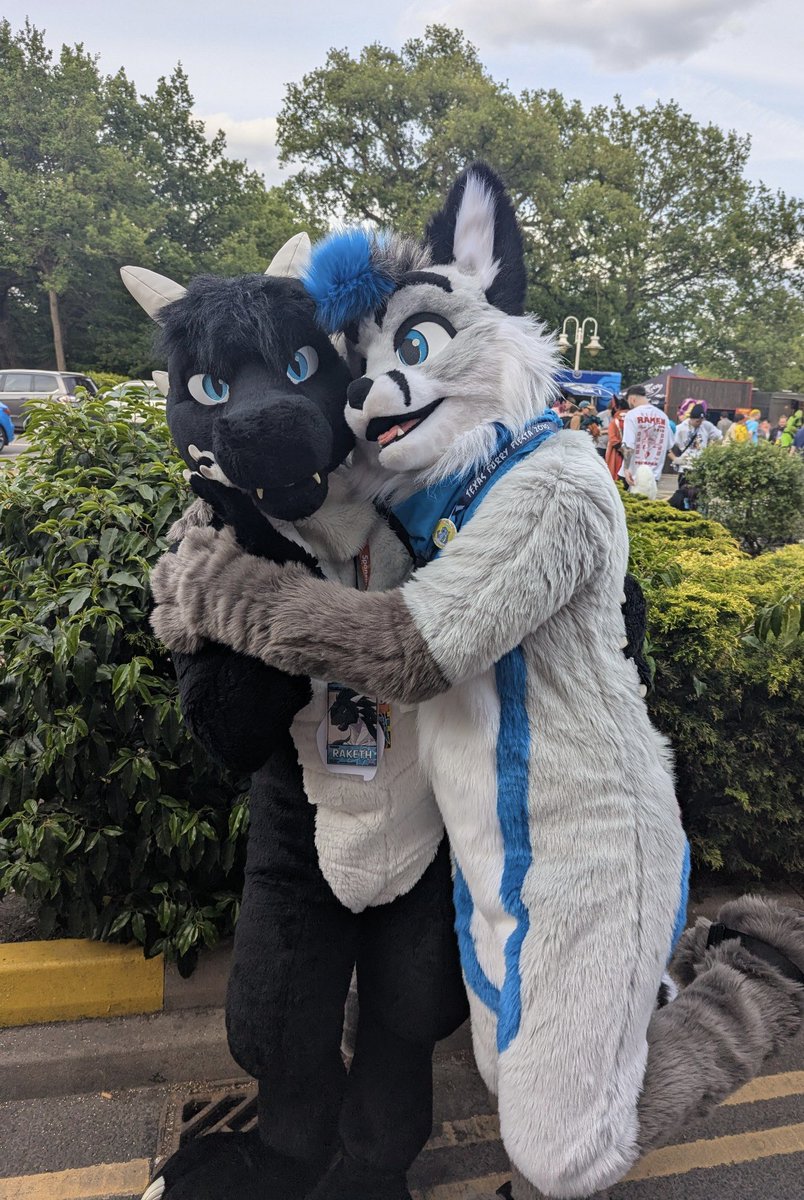 Making <a href="/DragonRaketh/">Raketh</a> feeling uncomfy with my foxyness 💙 #CFZ2025 

📸 jamiethemagpie.bsky.social