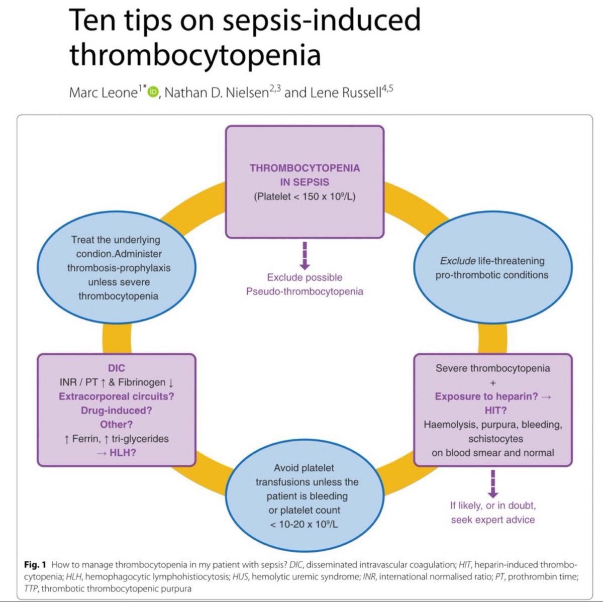 With > 55% of septic patients developing thrombocytopenia, it's time to really understand what's going on. 🎩 tip to the authors.
eddyjoemd.com/foamed/
