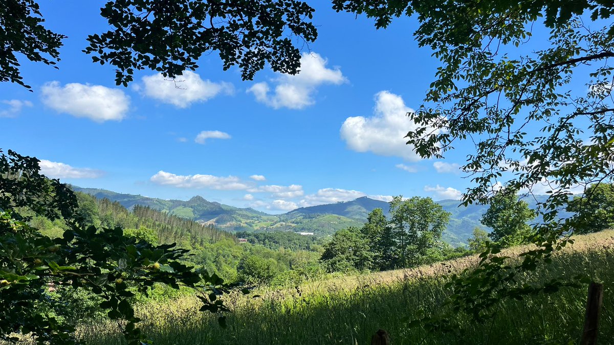 Behe-lainoaren ostean, giro sano eta argia <a href="/Euskalmet/">Euskalmet</a> #Bergara