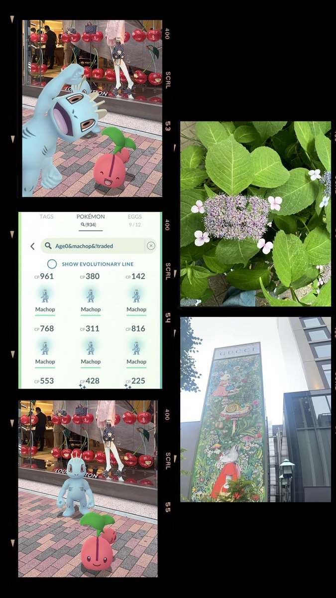 ejnbee (@ejnbee) on Twitter photo Classic CD Machop Edition in Ginza Tokyo 🥳 with <a href="/xRioTV/">heyitzRio</a> <a href="/SusieBlocker_/">SusieBlocker</a> <a href="/Darknotlovely/">DarkNotLovely - 4 Billion XP</a> <a href="/wilsonthepiplup/">WilsonThePiplup✈️Osaka</a> <a href="/Arthur_2486/">Arthur2486</a> <a href="/vermillionzac0/">Vermillionzac ✈️ 🇹🇭 bkk 26-28/9</a> thanks for the fun afternoon 🇯🇵🎌🇯🇵
54 ✨
1x Hundo Classic CD Machop Edition in Ginza Tokyo 🥳 with <a href="/xRioTV/">heyitzRio</a> <a href="/SusieBlocker_/">SusieBlocker</a> <a href="/Darknotlovely/">DarkNotLovely - 4 Billion XP</a> <a href="/wilsonthepiplup/">WilsonThePiplup✈️Osaka</a> <a href="/Arthur_2486/">Arthur2486</a> <a href="/vermillionzac0/">Vermillionzac ✈️ 🇹🇭 bkk 26-28/9</a> thanks for the fun afternoon 🇯🇵🎌🇯🇵
54 ✨
1x Hundo