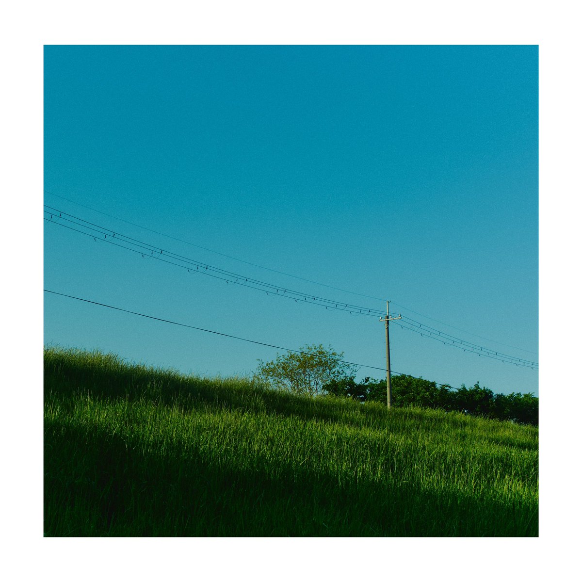 つまらなくて、たしかなもの