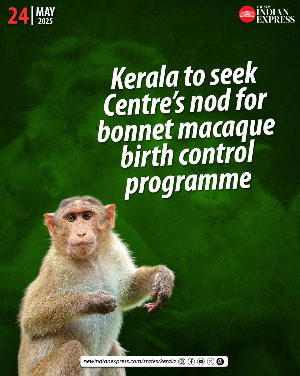 TNIE Kerala (@xpresskerala) on Twitter photo With farmers living on forest fringes complaining about the growing monkey menace affecting their livelihood, the plan is to use artificial birth control measures to control the population of bonnet macaques.
🔗rb.gy/hkhxsj
✍️<a href="/Manojexpress/">Manoj Viswanathan</a> With farmers living on forest fringes complaining about the growing monkey menace affecting their livelihood, the plan is to use artificial birth control measures to control the population of bonnet macaques.
🔗rb.gy/hkhxsj
✍️<a href="/Manojexpress/">Manoj Viswanathan</a>
