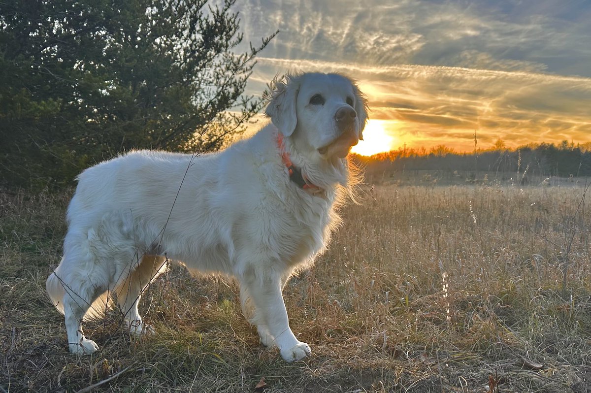 Good morning NorthernTails Nation!  Hope your upcoming day is great!