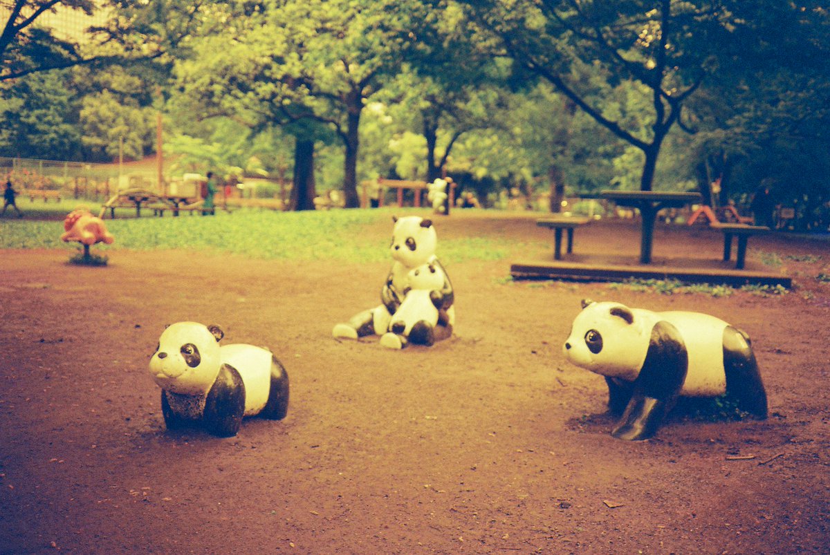 3104_mit's tweet image. 親子のカタチ

#filmphotography #film #lomo #redscale_xr50_200 #olympus #xa #チャンプカメラ #公園遊具 #レッドスケールで青を追う