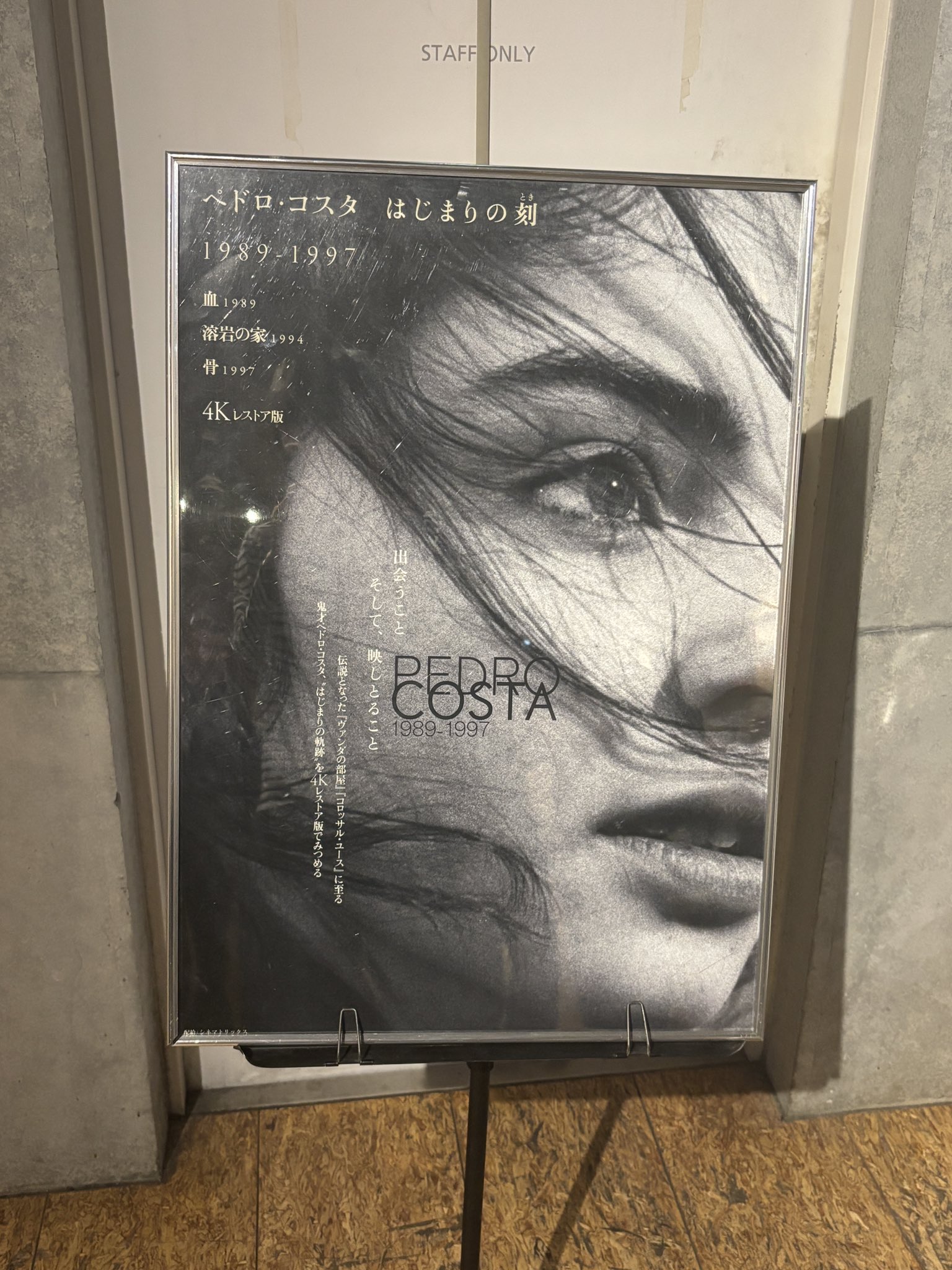 Amazon.co.jp: コロッサル・ユース [DVD] : ヴェントゥーラ