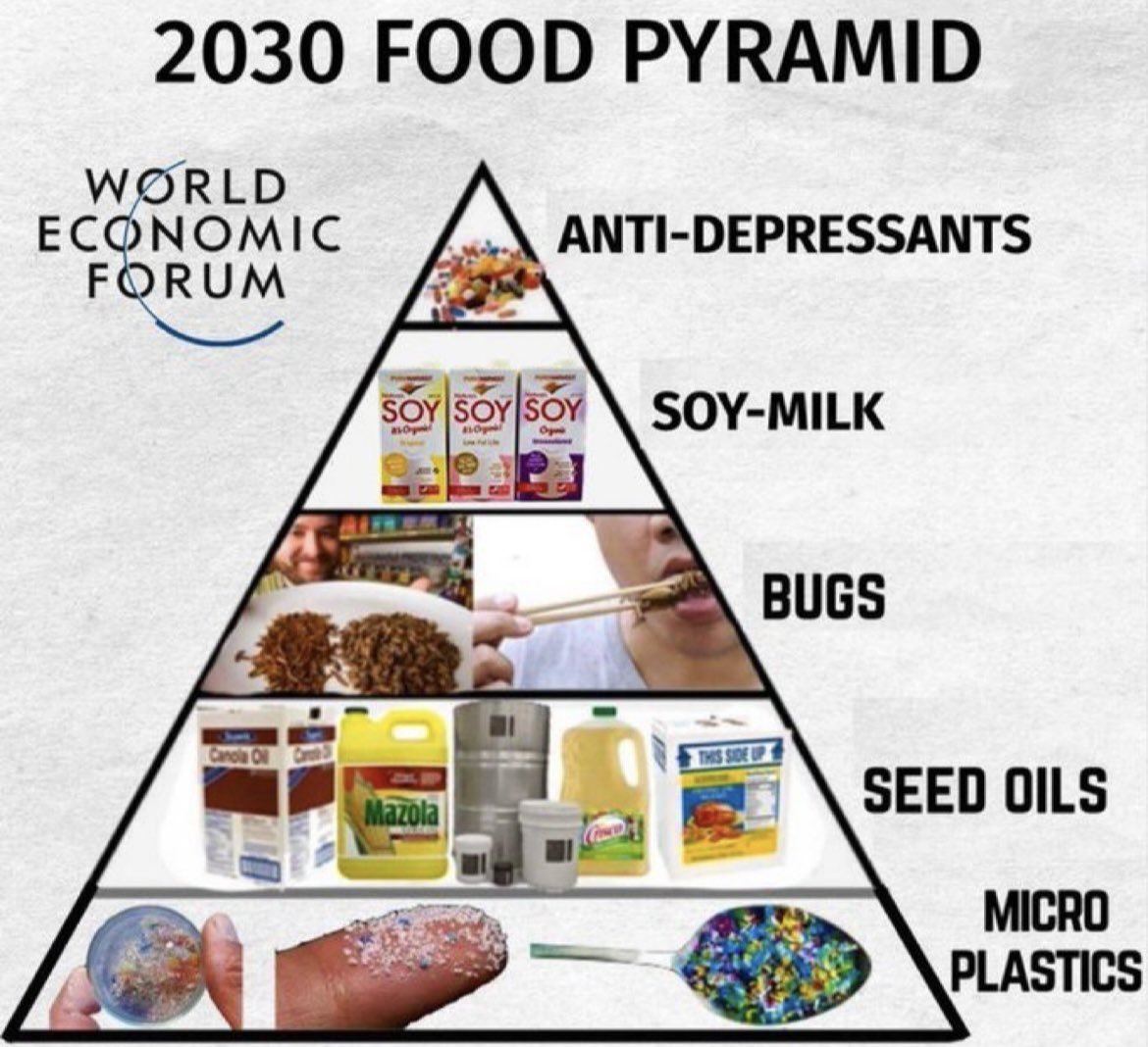 Note: If you won‘t eat ze bugs and like it you are a nazi!