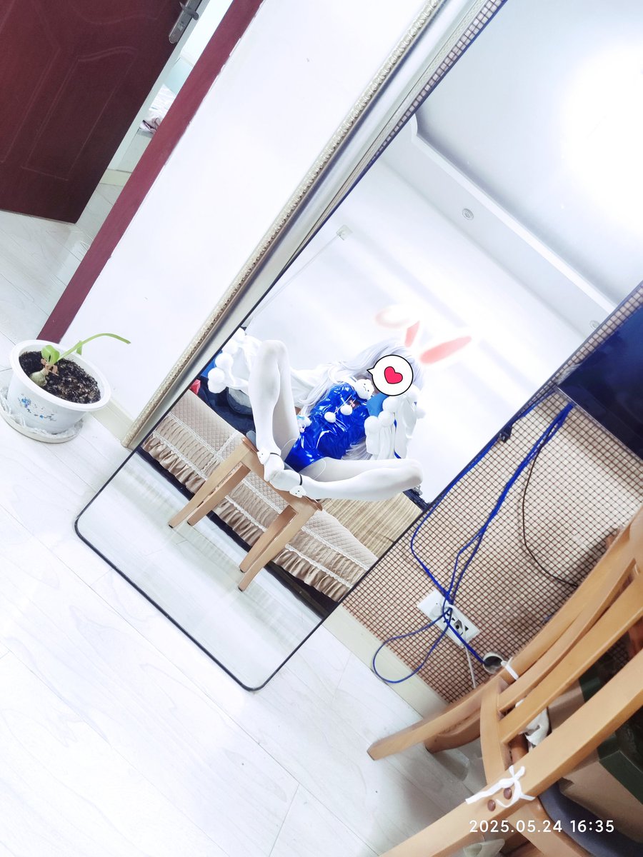 一只小梦梦 tweet media