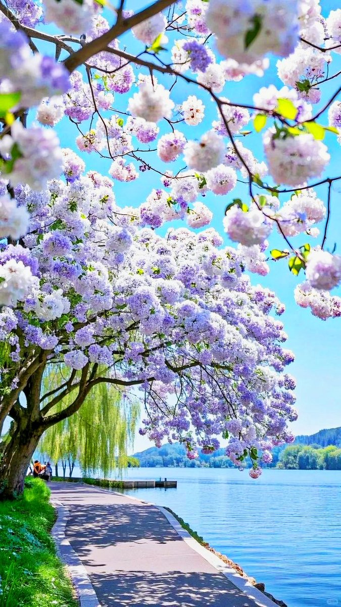 💞🫶GOOD AFTERNOON 🫶💞

       💯HAPPY SATURDAY💯