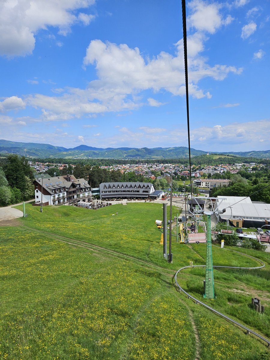 Alec Rothe tweet media