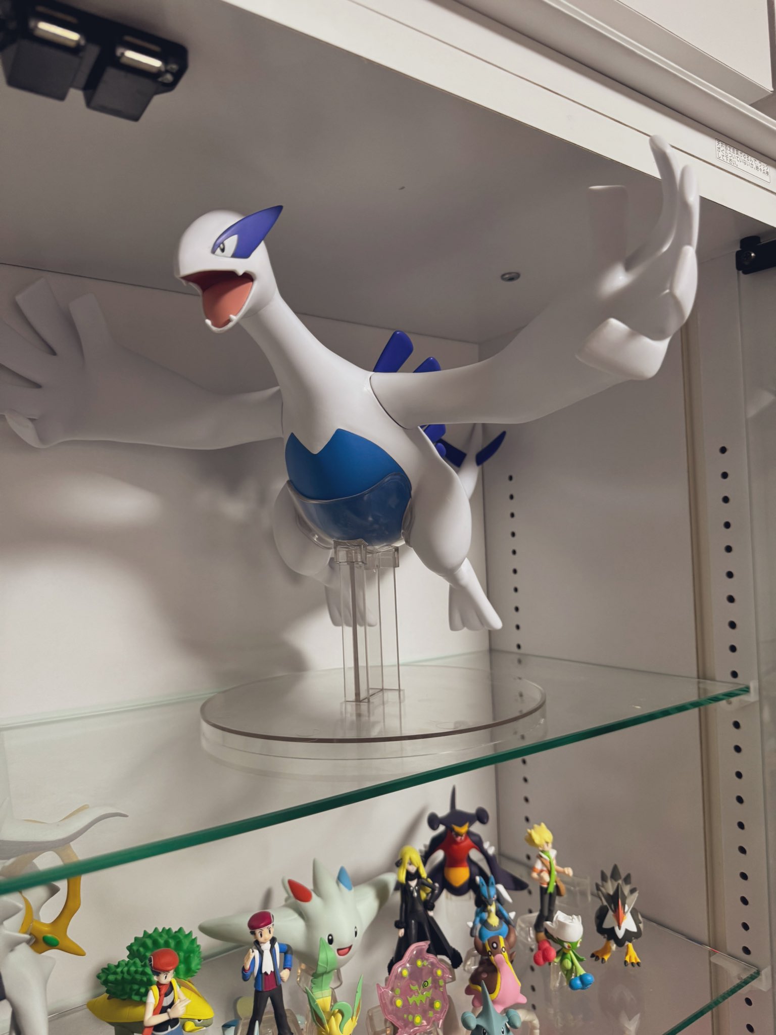 ポケモン スケールワールド ルギア