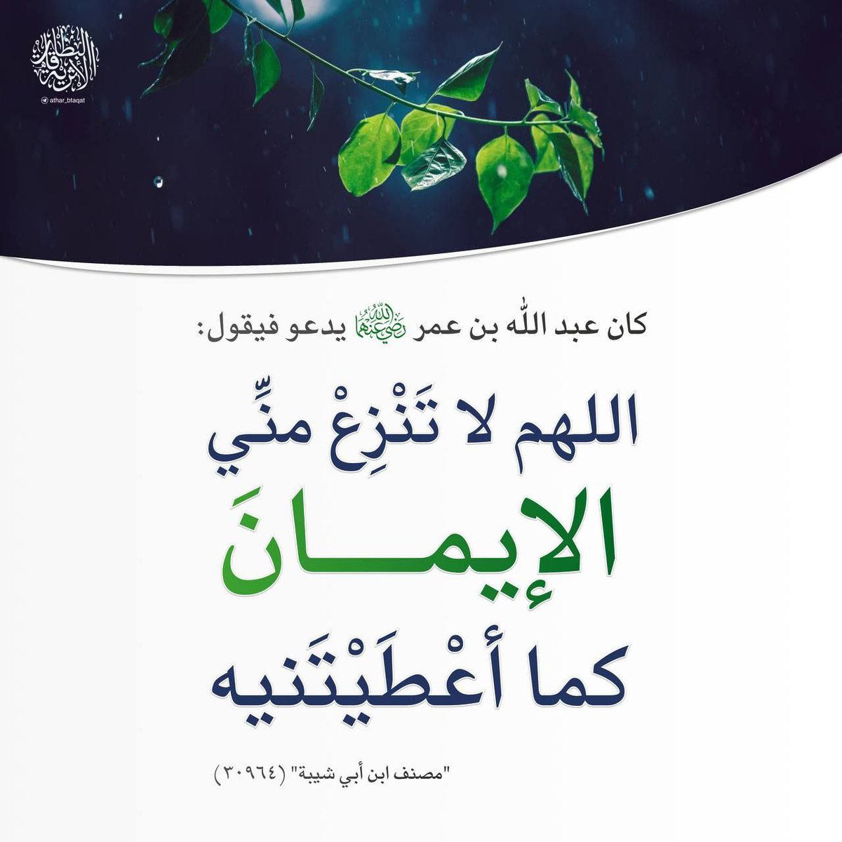 كلام tweet media