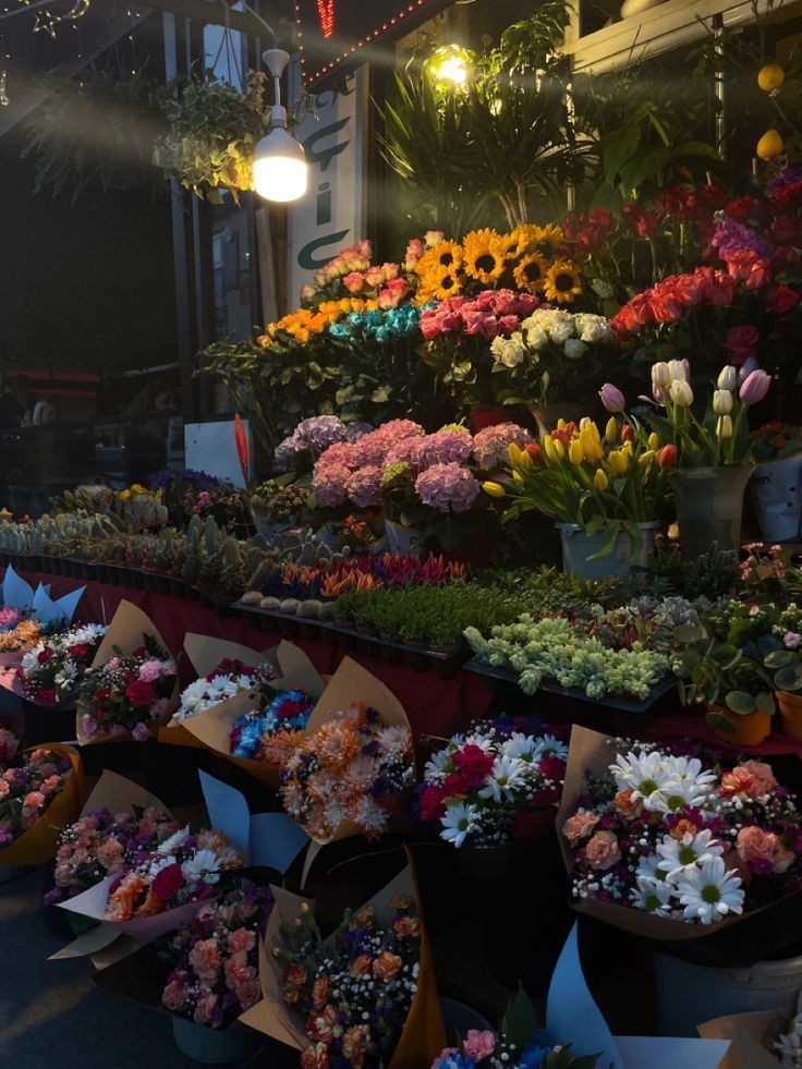 Flowers (@flowers489) on Twitter photo 