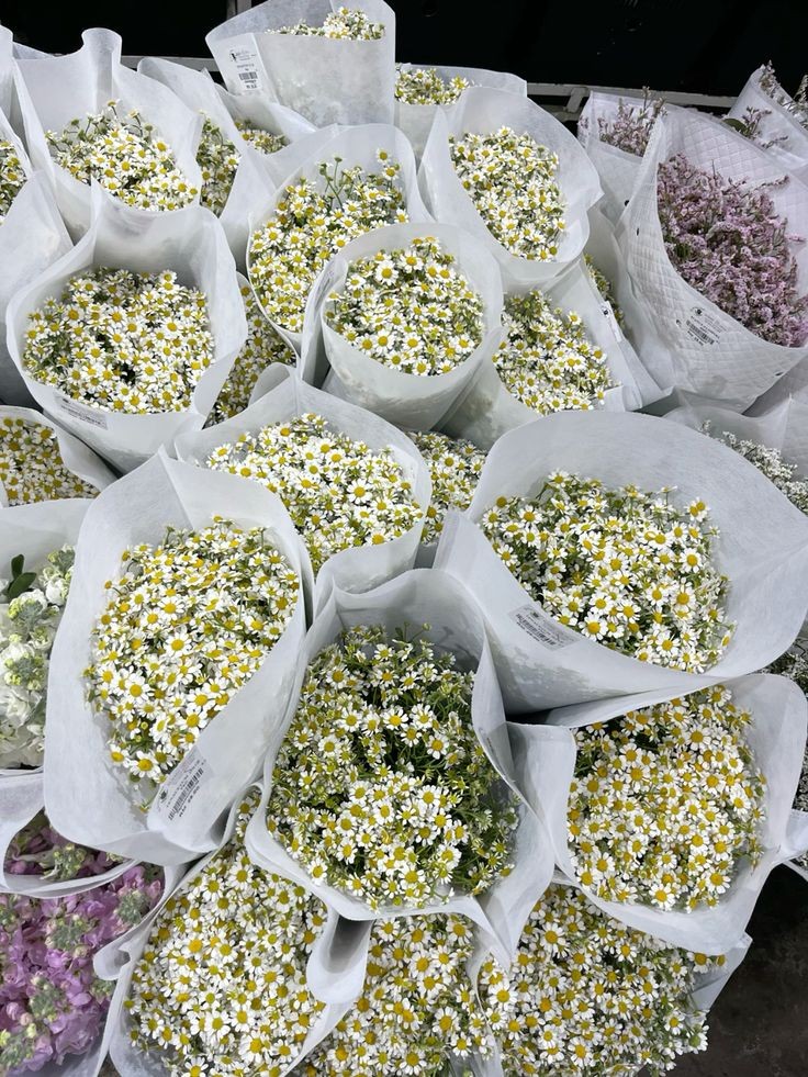 "Papatyaların bilmediği  birşey var, sevmek  kavuşmaya yetmiyor."