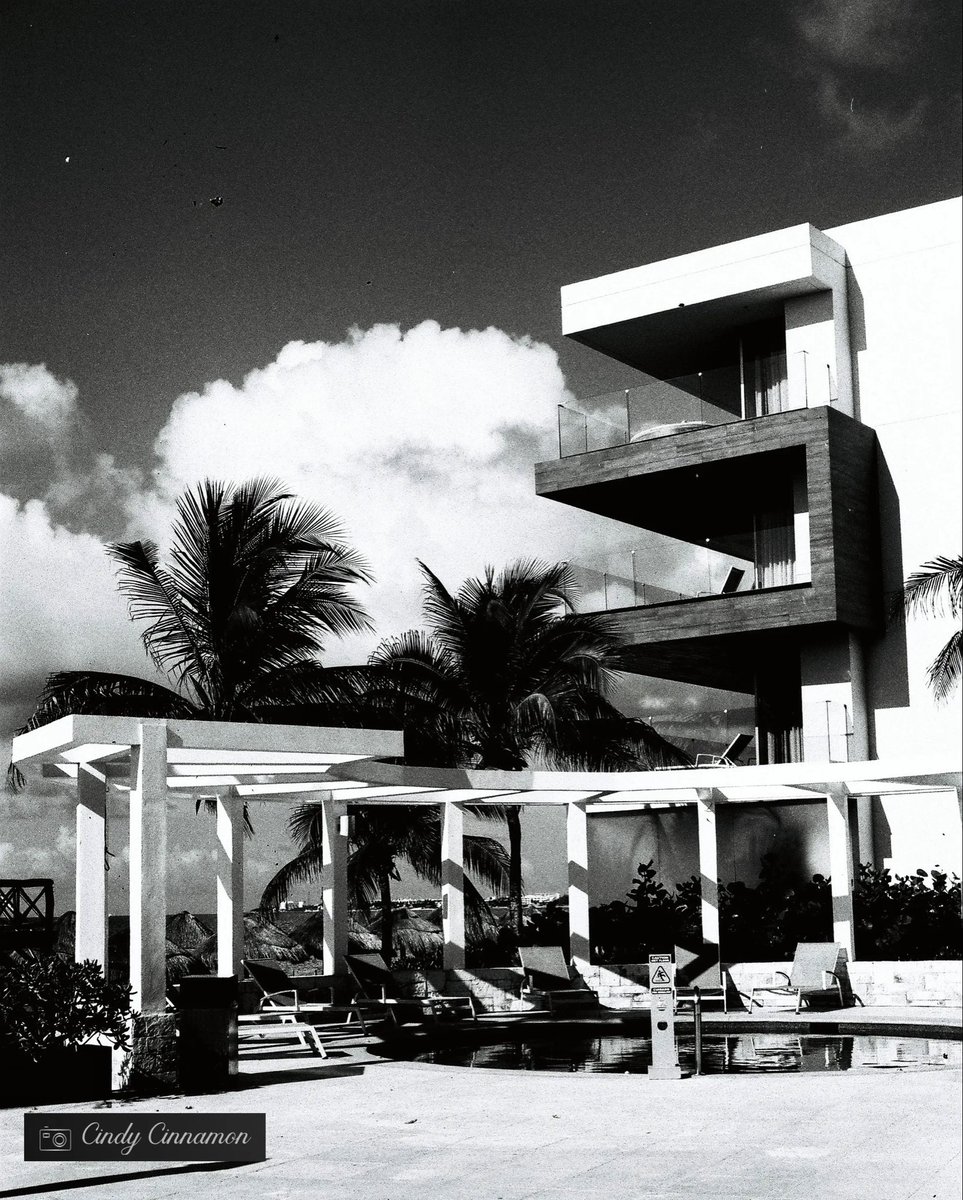 Cindy_Cinnamon's tweet image. Qu’est-ce que cette photo vous inspire? 

Cindy Cinnamon Photographie
CindyCinnamon.com
Rollei B35
Rollei Retro 400 

#Photo #FilmIsNotDead #FilmLife #Art #Rollei #RolleiB35 #35mm #Argenticos #RolleiRetro400  #RolleiRetroFilm #RolleiRetro #PanFilm #PuertoMorelos #Mexico