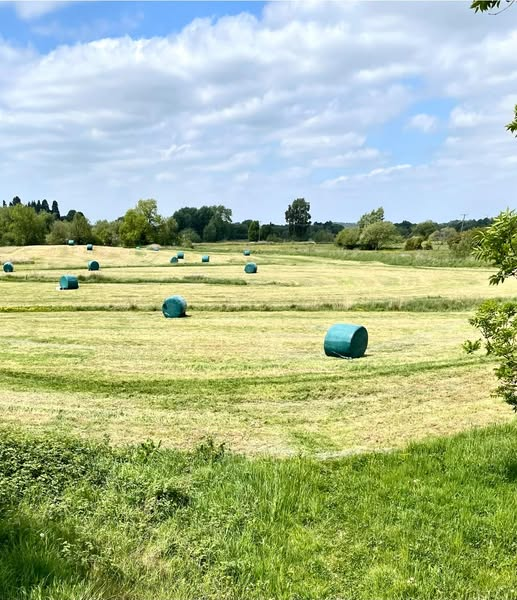 This is the only thing i want to see on the farmlands not solar panels!Who agrees?