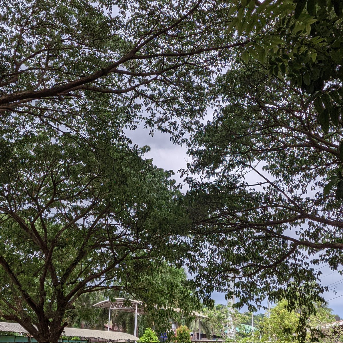 rina ☆ tweet media