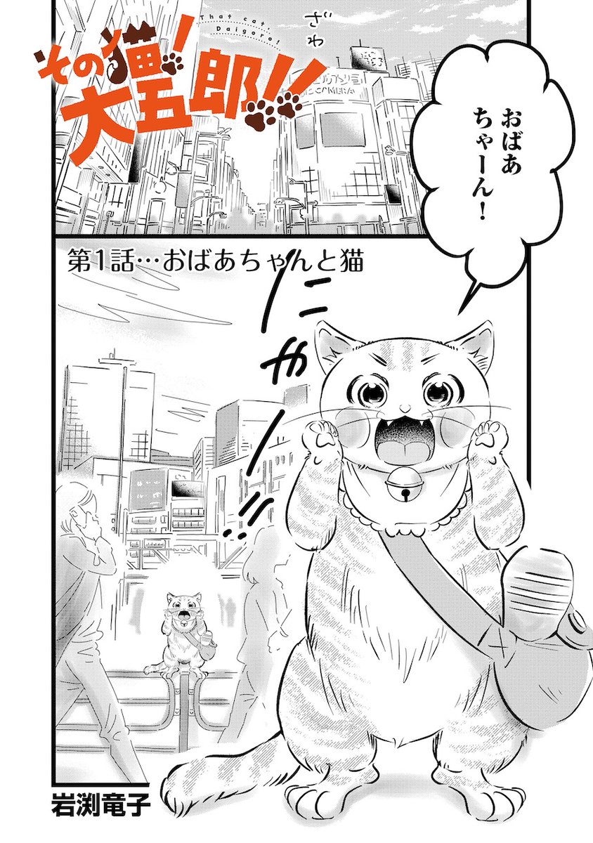 猫が勘違いをして暴走する話(1/7) 